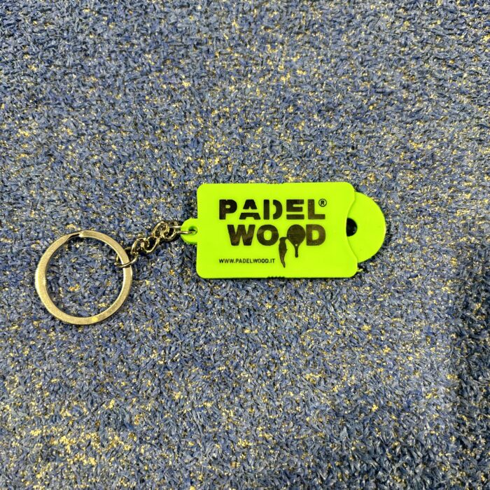 Key ring with coin